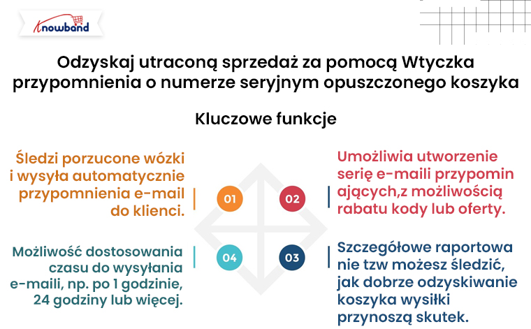 Odzyskaj utraconą sprzedaż dzięki wtyczce do przypomnienia o porzuconym koszyku